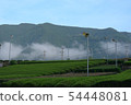 Tea field of Kunowaki 54448081