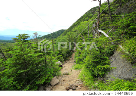 從Tsuboiwa到Kitayokodake的山路 54448699