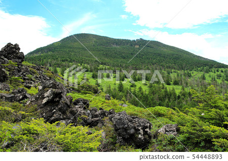 在夏天的條紋的山 54448893