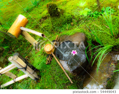 京都/日本花園/日式圖像 54449043
