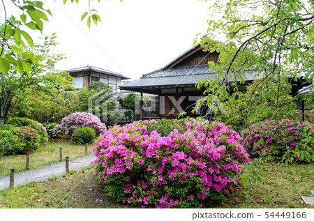 京都Wataru花園 54449166