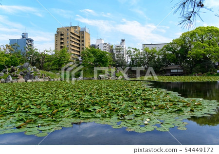 京都Wataru花園 54449172