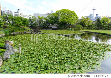 京都Wataru花園 54449174