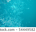水下 54449582