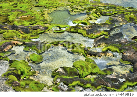 Chabosu Migoke公園的人群和溪流 54449919