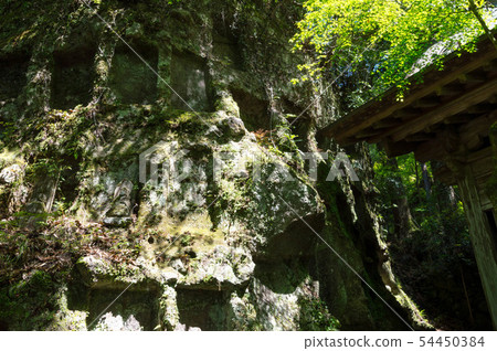 Oita Pref. Rohan-ji, Kourahan Sanmon 54450384