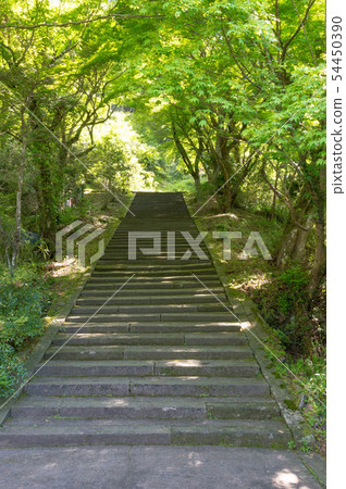 阿曼地區Rohan-ji寺前面的樓梯，Gorahan Sanmon 54450390