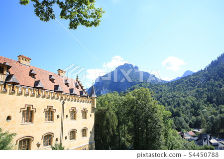 Hohenschwangau castle and mountains 54450788
