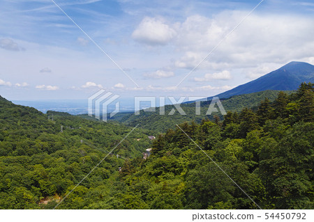 [Iwate Prefecture] Fresh green Matsukawa Valley / Matsukawa Geothermal Power Plant (the first commercial geothermal power plant to start operation in Japan) 54450792