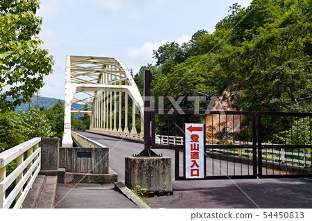 [Iwate Prefecture, popular autumn leaves observation spot] Matsukawa Ohashi (observation spot overlooking Matsukawa valley autumn leaves, Matsukawa geothermal power plant) 54450813