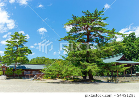 Nara Prefecture Ebarahara Shrine background of the blue sky 54451285