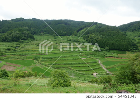 Beautiful terraced rice fields in Misaki-cho, Okayama Prefecture Beautiful terraced rice fields in Misaki-cho, Okayama Prefecture 54451345