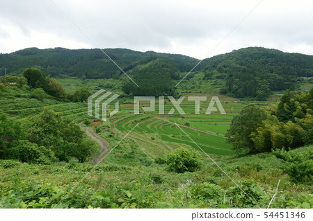 Beautiful terraced rice fields in Misaki-cho, Okayama Prefecture Beautiful terraced rice fields in Misaki-cho, Okayama Prefecture 54451346