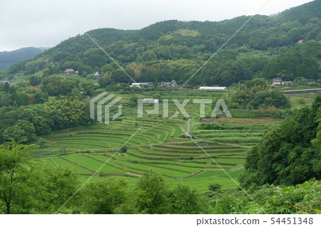 Beautiful terraced rice fields in Misaki-cho, Okayama Prefecture Beautiful terraced rice fields in Misaki-cho, Okayama Prefecture 54451348