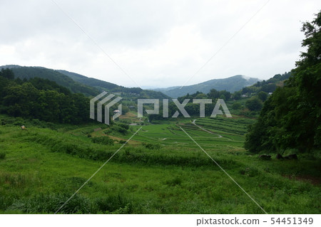Beautiful terraced rice fields in Misaki-cho, Okayama Prefecture Beautiful terraced rice fields in Misaki-cho, Okayama Prefecture 54451349
