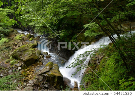 Valley of Nasu-Shiobara Sukkanzawa and waterfall of Nisaburo Valley of Nasu-Shiobara Sukkanzawa and waterfall of Nisaburo 54451520