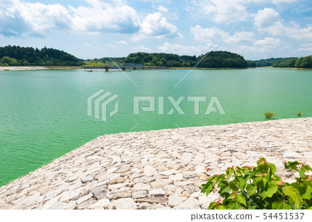 Togane Dam Togane湖（千葉縣東金市）*照片攝於2019年6月 54451537