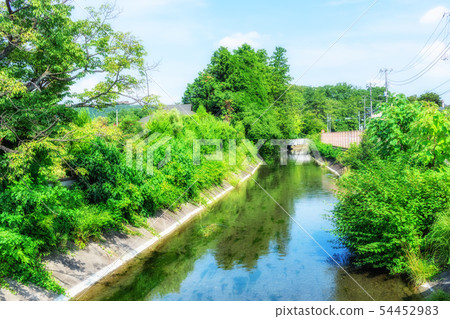 東京Fussa多摩川Kamimizu（來自新橋） 54452983
