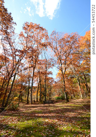 高原的隕落 54453722