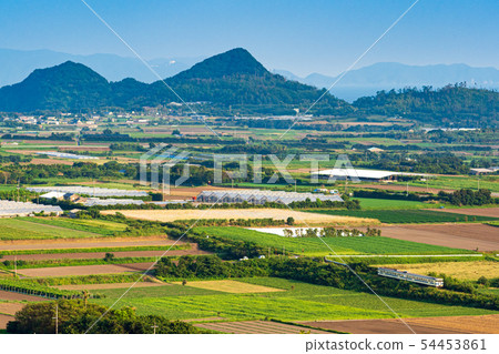 Aiming for the fruits of the southern country 54453861