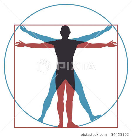 Vitruvian man. Leonardo da vinci human body perfect anatomy proportions in circle and square. Vector 54455192