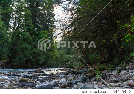 The Cowlitz River in Washington The Cowlitz River in Washington 54455400