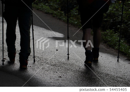 登山 登山 54455405