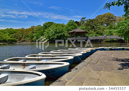 Nara Park Nara Park 54455557