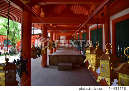 奈良公園,春日大社 奈良公園,春日大社 54455558
