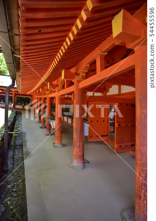 奈良公園,春日大社 奈良公園,春日大社 54455596