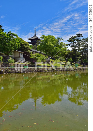 Nara Park, Kofuku-ji Temple Nara Park, Kofuku-ji Temple 54455601
