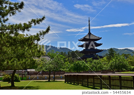 Nara Park, Kofuku-ji Temple 54455634