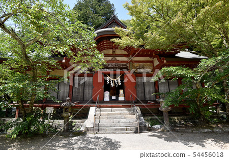 Daisyama Shrine一般崇拜住所 54456018