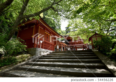 南山神社西藏寶藏和大雄寶殿 南山神社西藏寶藏和大雄寶殿 54456226