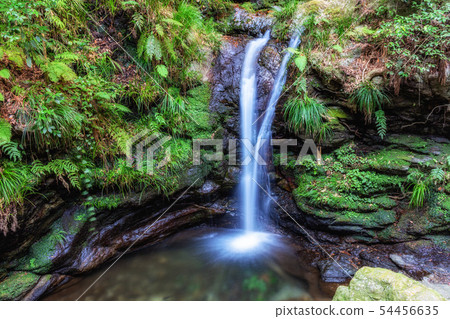 Saitama Oshio Kuroyama Santaki 54456635