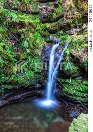 埼玉Oshio Kuroyama Santaki 54456636