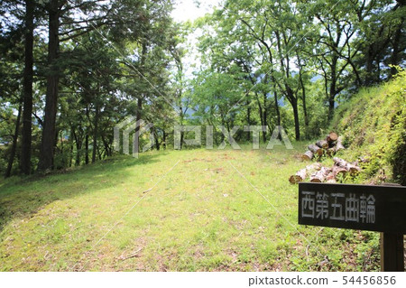 川越城 川越城 54456856