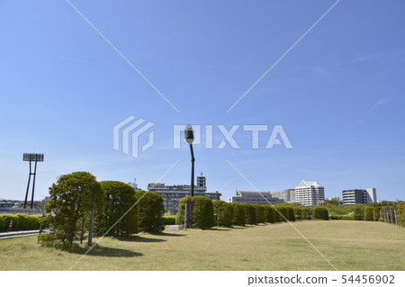 白山公園空中花園 白山公園空中花園 54456902