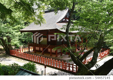 武神社神社 武神社神社 54457145