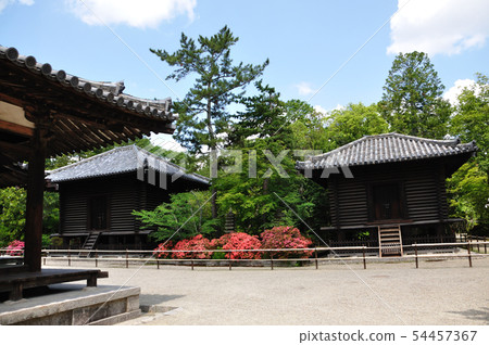 Toshodaiji Temple 54457367