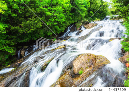 Sunlight fresh green crown waterfall (From the boardwalk) 54457809