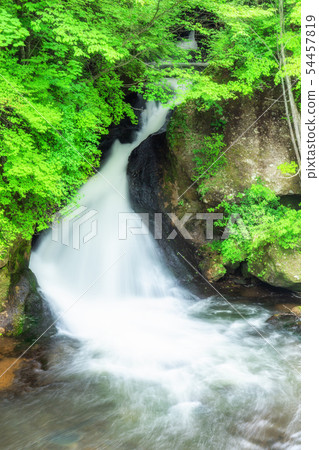 陽光新鮮的綠色冠瀑布 54457819