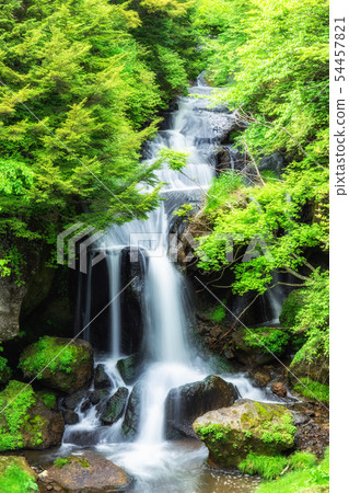 陽光新鮮的綠色冠瀑布 54457821