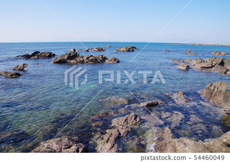 橫須賀天神島 橫須賀天神島 54460049
