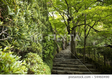 京都大原Rinko-in 京都大原Rinko-in 54460490