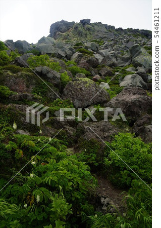 Iwasu belt of Rausu mountain 54461211