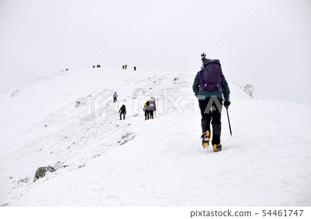 Deep winter Karamatsudake Deep winter Karamatsudake 54461747