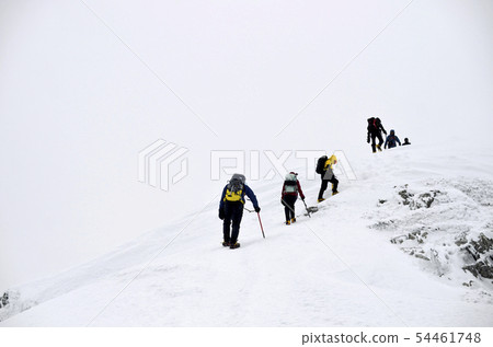 Deep winter Karamatsudake Deep winter Karamatsudake 54461748