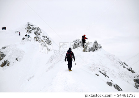 Deep winter Karamatsudake 54461755