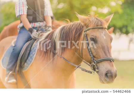 Kids learn to ride a horse near the river Kids learn to ride a horse near the river 54462466